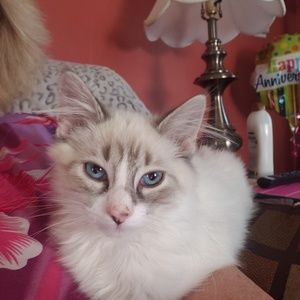 Meet your Posher, Vicky